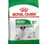 Concentrado Royal Canin Mini Adult8mas